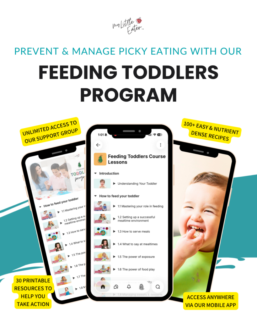 Graphic promoting the Feeding Toddlers Program with video lessons, recipes, printables, and app access.
