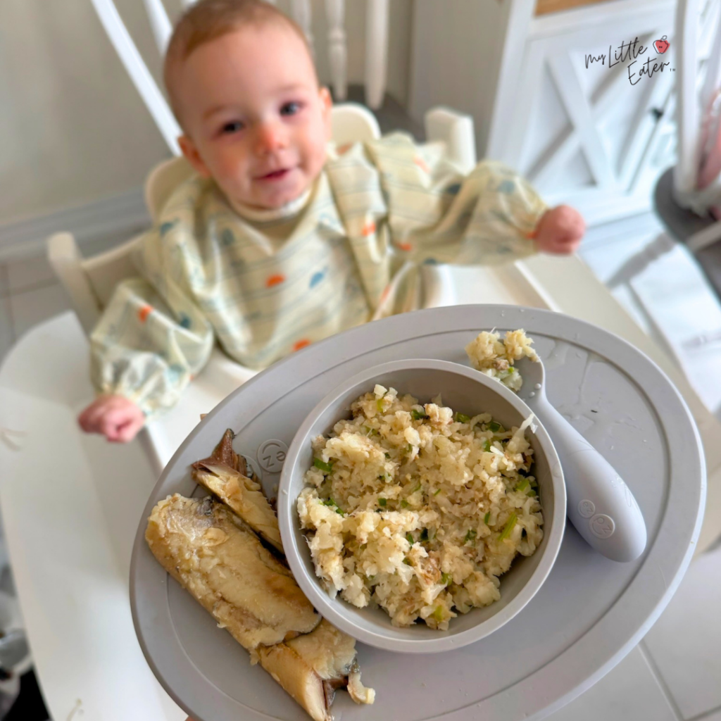 Introducing Fish to Baby: The Ultimate (No Stress) Guide