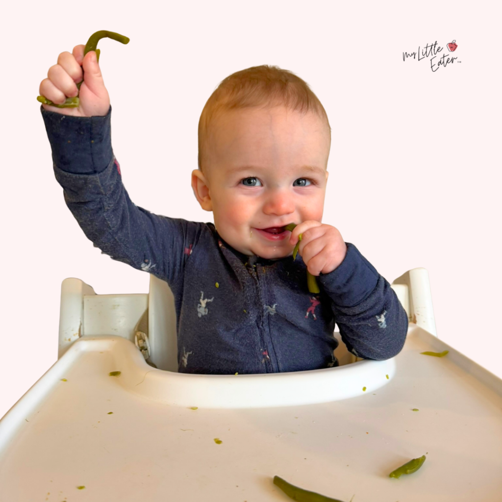 Stopping Food Throwing: Practical Guide for Parents