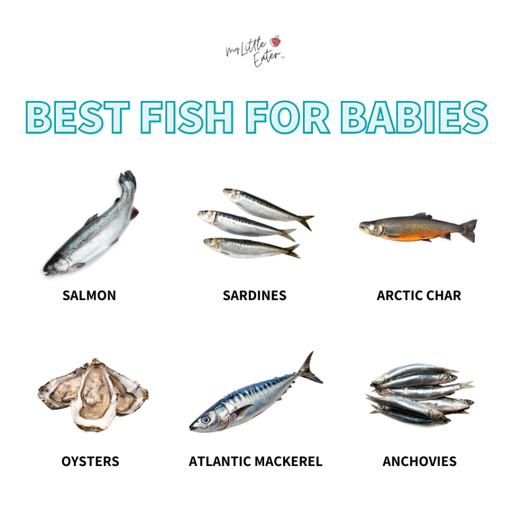 Introducing Fish to Baby: The Ultimate (No Stress) Guide